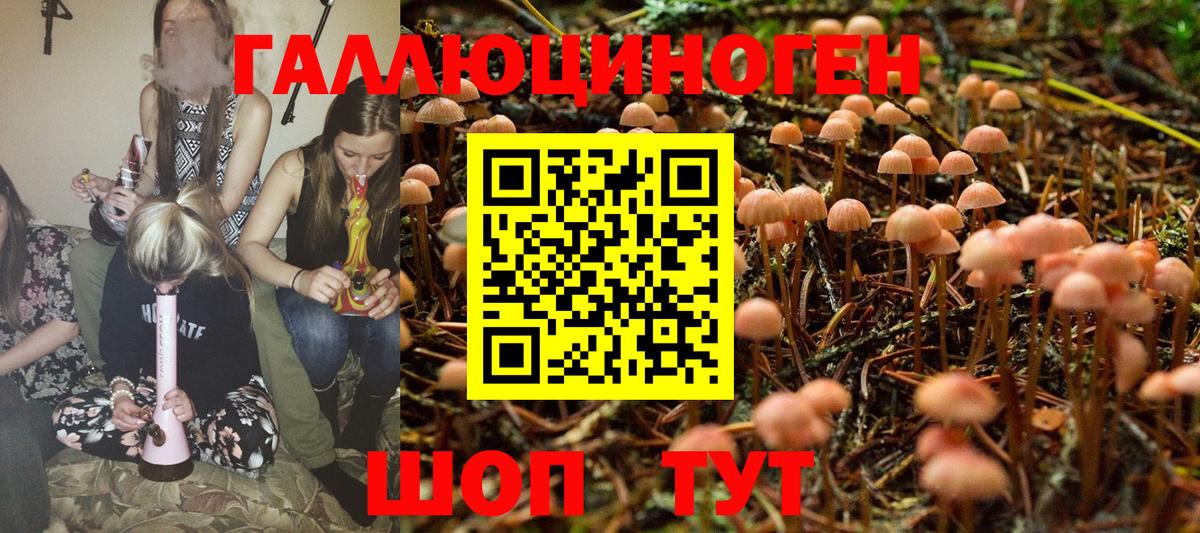Псилоцибиновые грибы GOLDEN TEACHER Хабаровск