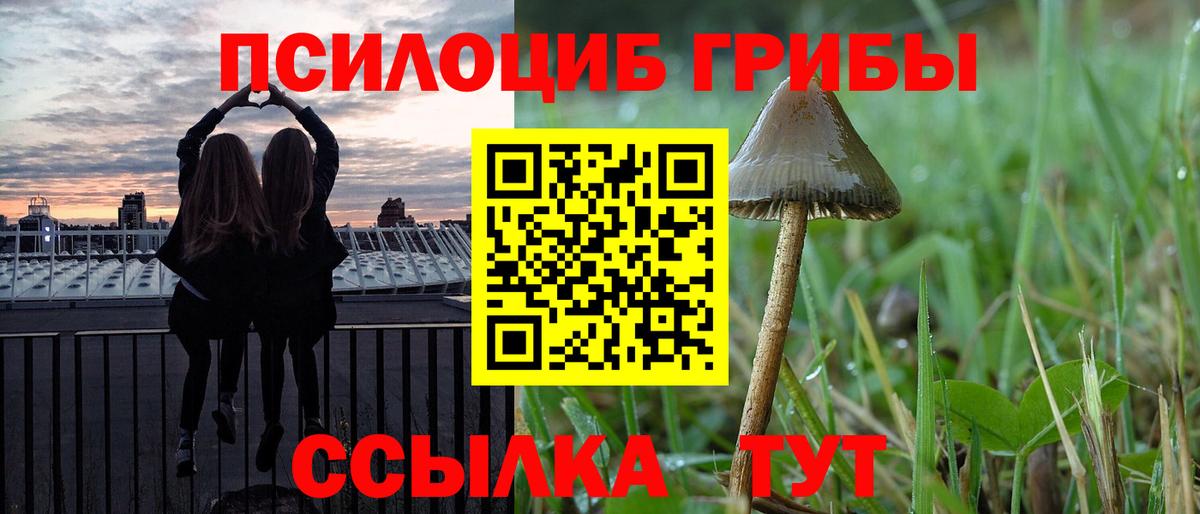 Хабаровск  Галлюциногенные грибы мицелий  Псилоцибиновые грибы ЛСД  Вход с VPN 